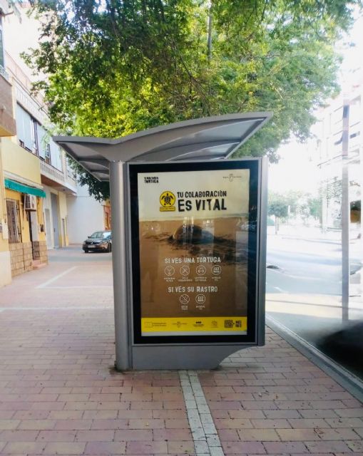 El Ayuntamiento de Lorca colabora un año más en las campañas de sensibilización de la tortuga marina mediante la inserción de cartelería en mupis de la ciudad