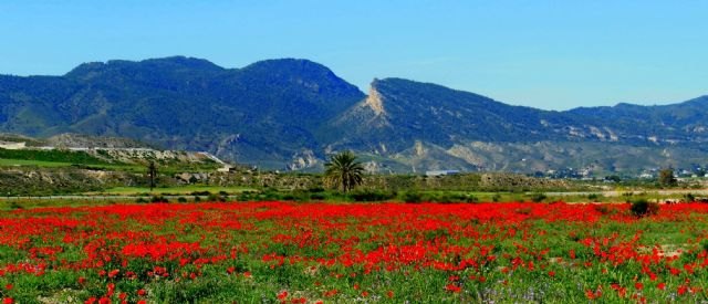 Propuesta de IU-V al pleno para que Lorca se oferte como 'municipio de cine'