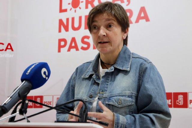 'Exigimos al Gobierno Regional la aplicación inmediata de los 12'8 millones que ha dispuesto el Plan de choque Nacional para la Dependencia para paliar las graves listas de espera'
