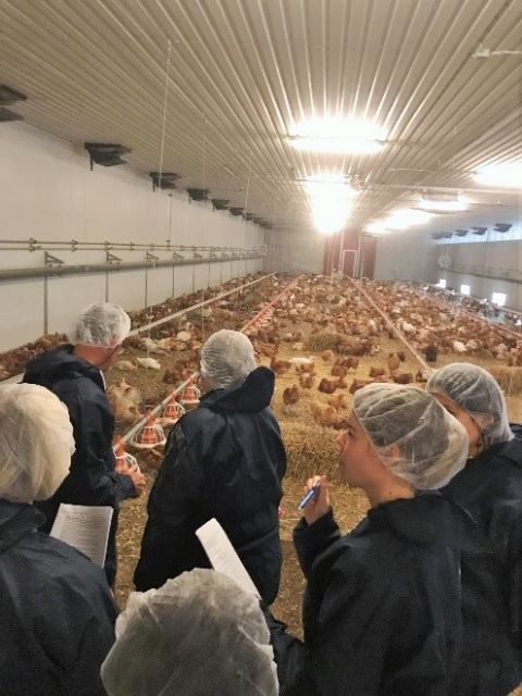 El Cifea de Lorca participa en Suecia en un curso sobre bienestar animal organizado por la Comisión Europea