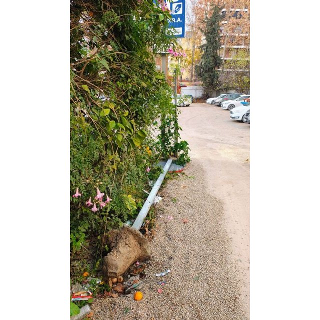 'Un solo barrendero para todo el Barrio, tres para el resto de la ciudad hasta San Antonio, además de la máquina barredora rota'