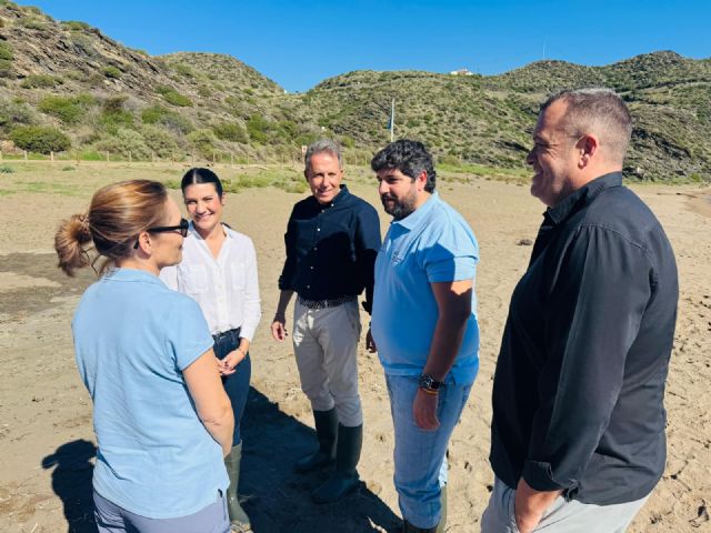 Lorca celebra la liberación de una tortuga boba en Calnegre tras su recuperación en El Valle