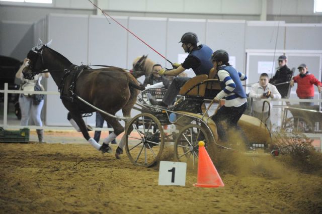 Equimur 2014 - Salón internacional de caballos de razas puras
