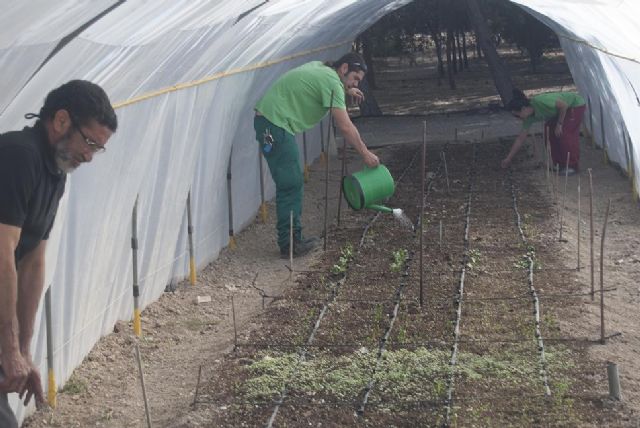 14 desempleados lorquinos participan en un curso gratuito de agricultura ecológica