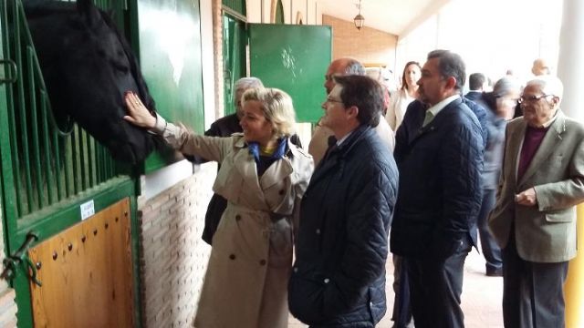 El Alcalde de Lorca y la Consejera de Agricultura visitan las instalaciones del Centro de Inseminación Equina con motivo de la parada de sementales