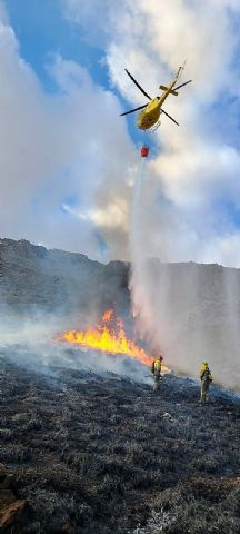 Efectivos del Plan Infomur apagan un incendio forestal declarado cerca de La Paca