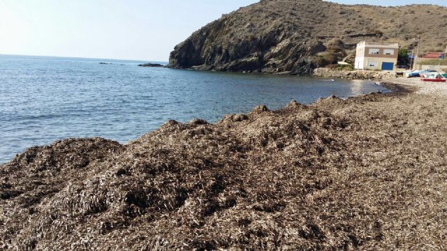 El PSOE denuncia el abandono de la playa de Puntas de Calnegre y reclama el impulso a la costa lorquina