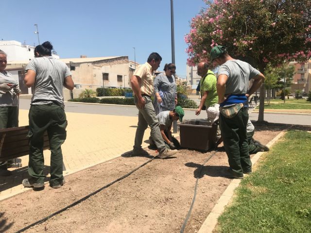 El Ayuntamiento mejora la jardinería del Parque de San José con la colocación de 19 maceteros con nuevas plantas, la mejora del sistema de riego y la poda de arbustos