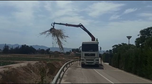 El Ayuntamiento de Lorca lleva a cabo la limpieza del tramo urbano de la rambla Ylorci situada en la pedanía de Tercia