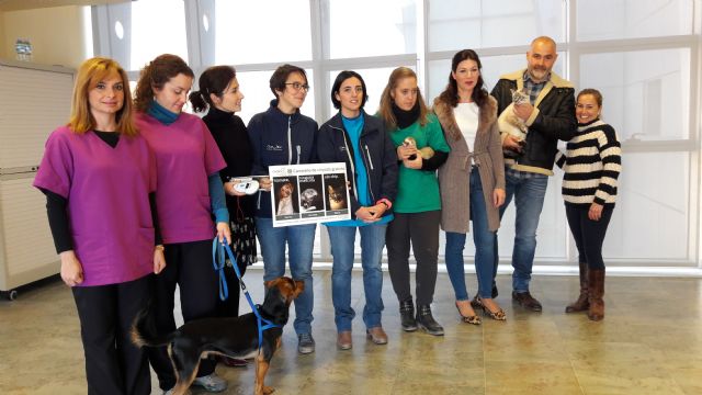 La Concejalía de Sanidad, el Colegio de Veterinarios y las clínicas veterinarias locales completan la campaña de chipado gratuito de 700 mascotas