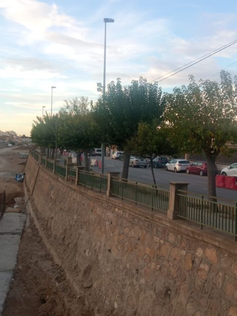 Nueva tala indiscriminada en Lorca