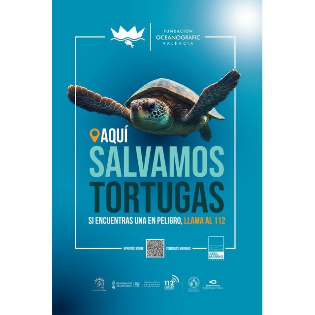 Lorca colabora en las campañas de sensibilización de la tortuga marina 'Tortugas en el Mediterráneo' y 'Territorio Tortuga'