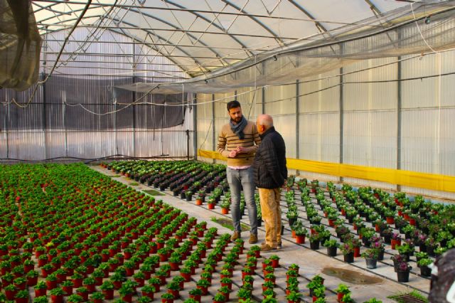 Unas 12.000 plantas abarrotan los viveros de Torrecilla para 'vestir' los jardines en primavera