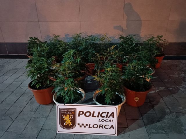 La Policía Local de Lorca detiene a 6 personas en el marco de las actuaciones preventivas y operativas para garantizar la seguridad ciudadana en el municipio