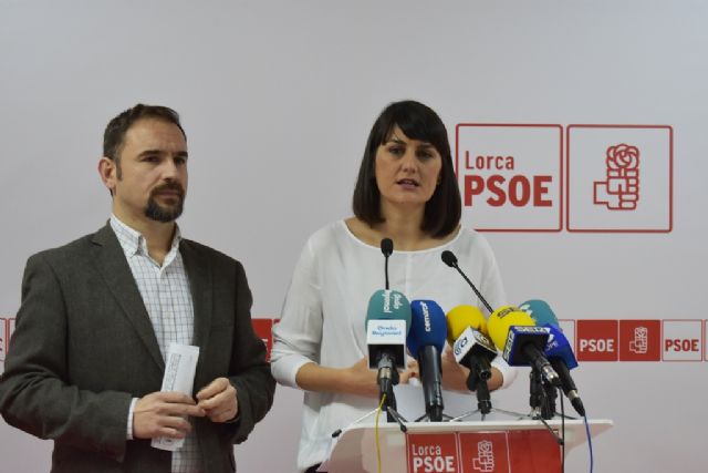 El PSOE consigue que el Gobierno negocie con los damnificados del sector fotovoltaico