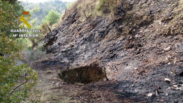 La Guardia Civil esclarece un incendio forestal con un investigado