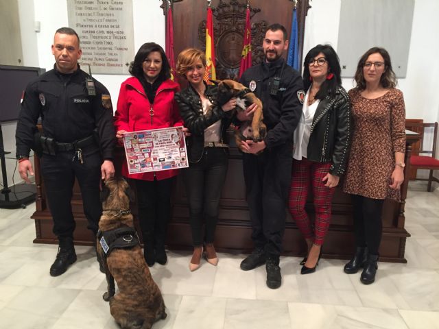 La Asociación de Vecinos de Alfonso X organiza mañana la llegada a Lorca de Papá Noel con regalos para niños y mascotas