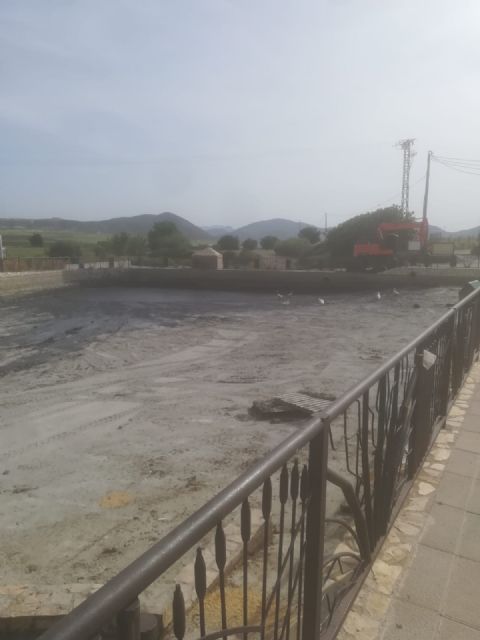 El Ayuntamiento de Lorca pone en marcha labores de limpieza y mantenimiento en el estanque de Doña Inés