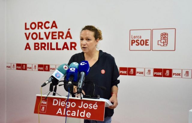 Isabel Casalduero 'Pedimos al Partido Popular que deje de mentir y manipular con el tema de las viviendas de San Fernando'