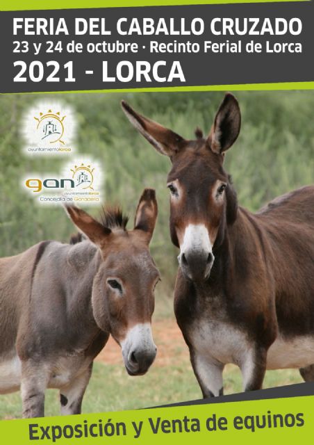 La Feria del Caballo Cruzado vuelve a convertirse en un referente de este tipo de ejemplares en Lorca y comarca