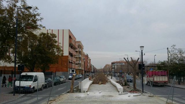 PSOE: 'El PP de Jódar e Ibarra sigue imponiendo el gris a Lorca con una nueva tala masiva de árboles'