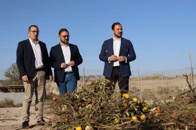Lorca pone en marcha un servicio exclusivo para la recogida de podas y desbroces en el Centro de Gestión de Residuos de Barranco Hondo