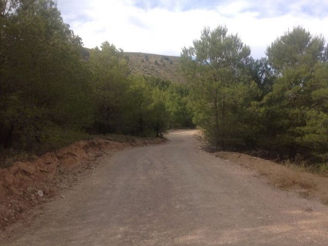 El Ayuntamiento lleva a cabo la protección ambiental del Cerro del Tornajo y su entorno