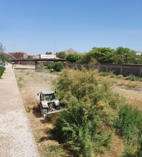 El Ayuntamiento de Lorca inicia los trabajos de desbroce del Río Guadalentín a su paso por el casco urbano del municipio