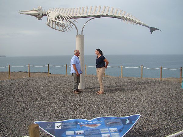 IU-V propone crear una 'senda de los cetáceos' en el litoral lorquino de Calnegre exponiendo sus esqueletos